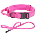 Conjunto de Coleira Elástica para Cães
