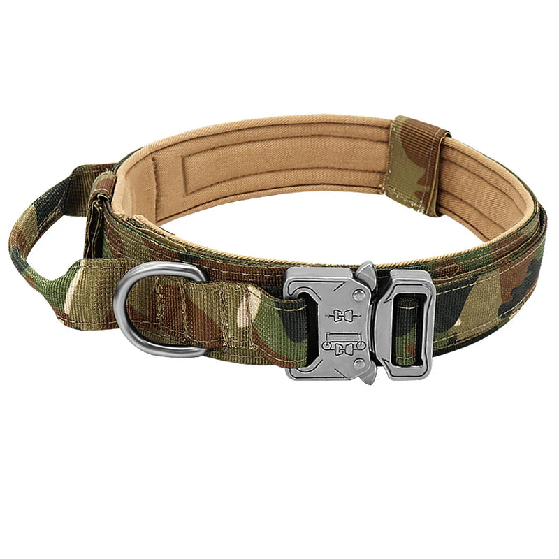 Conjunto de Coleira Elástica para Cães