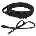Conjunto de Coleira Elástica para Cães