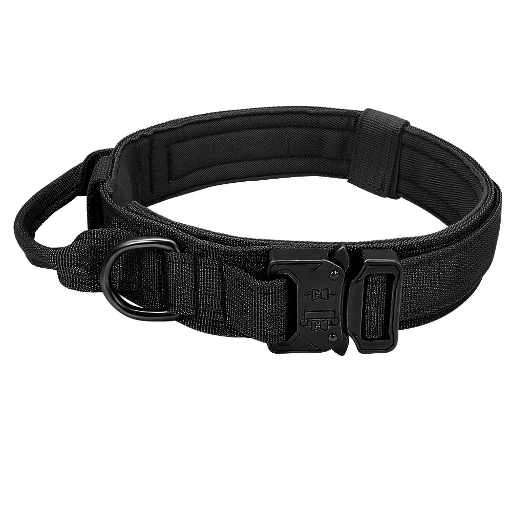 Conjunto de Coleira Elástica para Cães