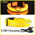 Coleira de Cachorro Brilhante com Led