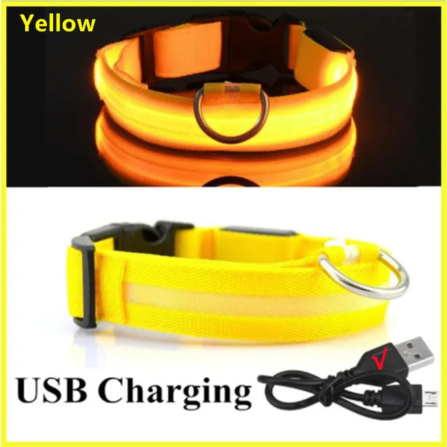 Coleira de Cachorro Brilhante com Led