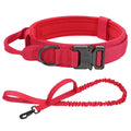 Conjunto de Coleira Elástica para Cães