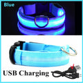 Coleira de Cachorro Brilhante com Led