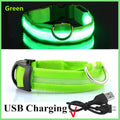 Coleira de Cachorro Brilhante com Led
