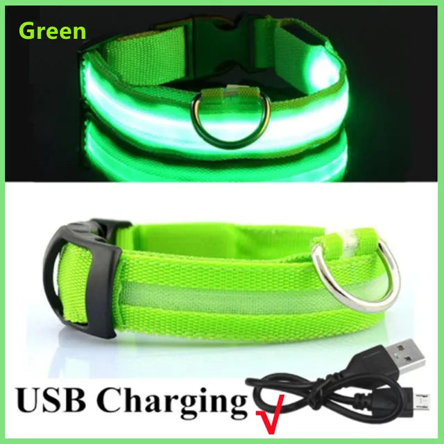Coleira de Cachorro Brilhante com Led