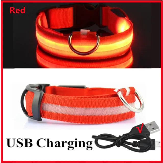Coleira de Cachorro Brilhante com Led