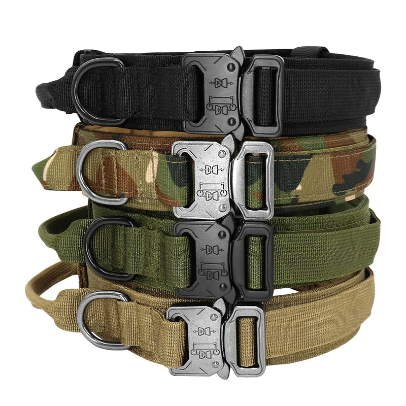 Conjunto de Coleira Elástica para Cães