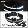 Coleira de Cachorro Brilhante com Led