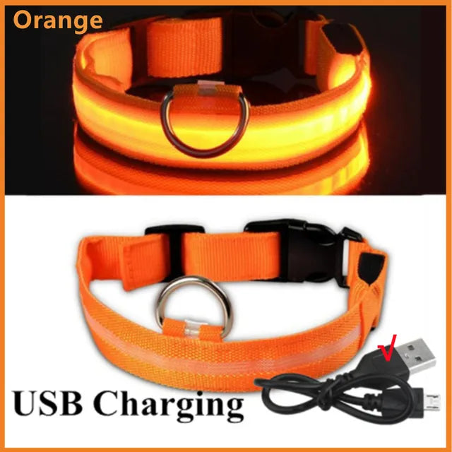 Coleira de Cachorro Brilhante com Led
