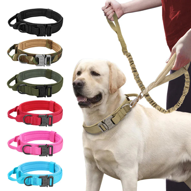 Conjunto de Coleira Elástica para Cães