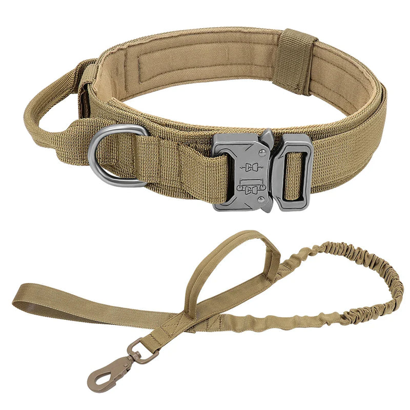 Conjunto de Coleira Elástica para Cães