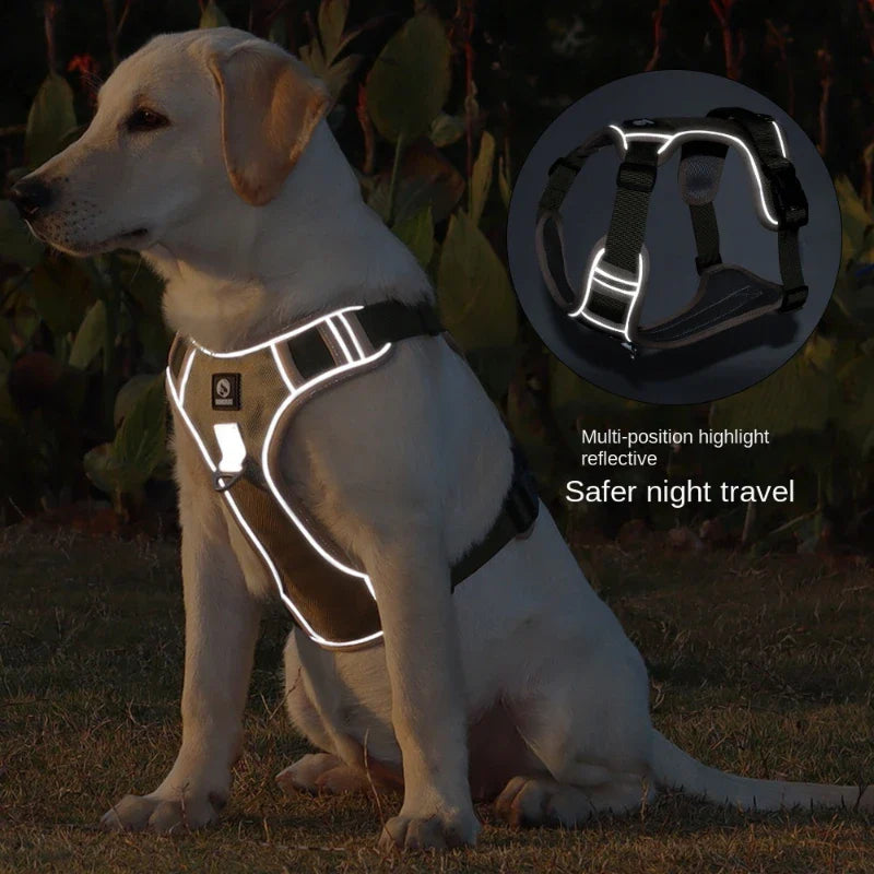 colete Ajustável para Cães