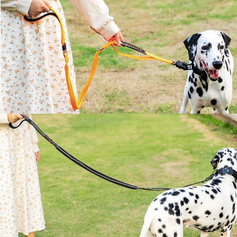 Corda Elástica para Coleira Resistente para Cães
