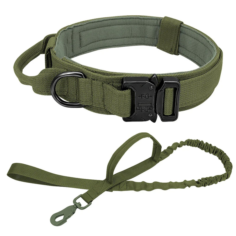 Conjunto de Coleira Elástica para Cães