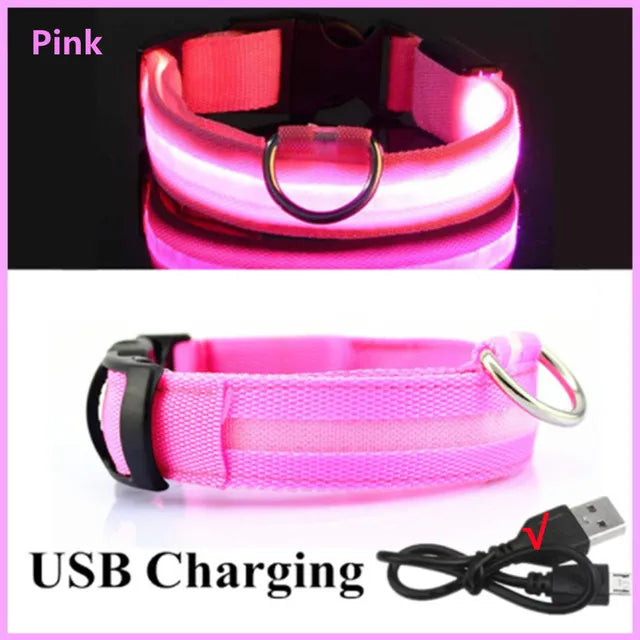 Coleira de Cachorro Brilhante com Led