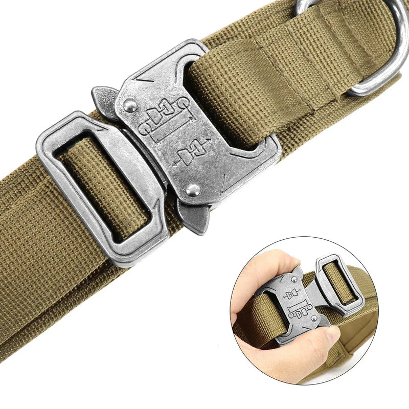 Conjunto de Coleira Elástica para Cães