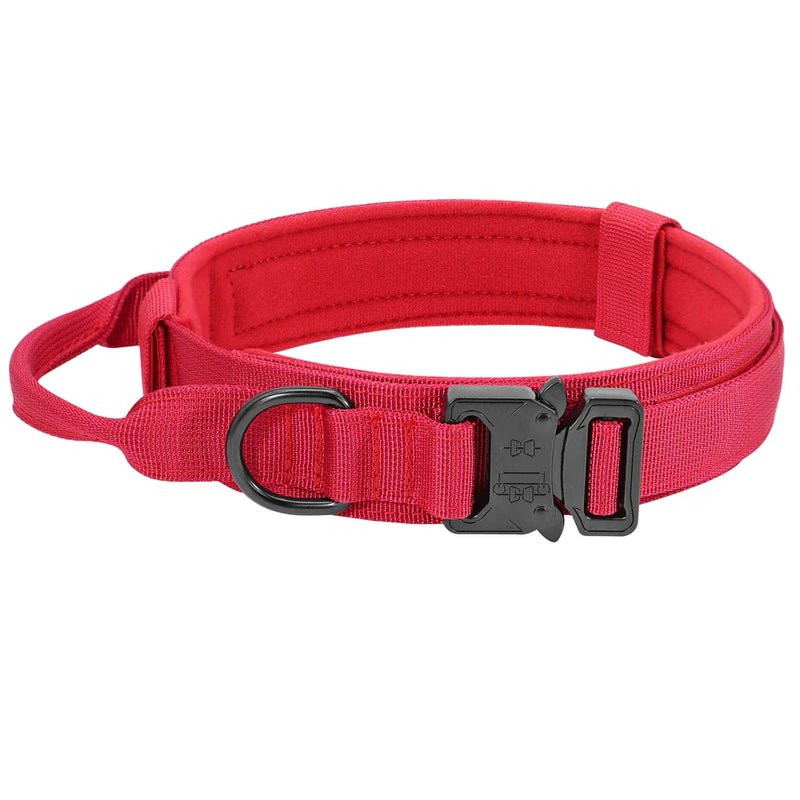 Conjunto de Coleira Elástica para Cães